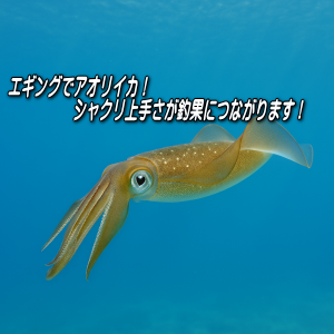 エギングでアオリイカを釣ろう!