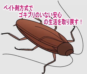 ベイト剤方式でゴキブリのいない安心生活!