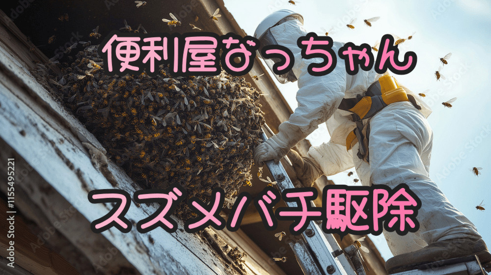 蜂駆除イメージ