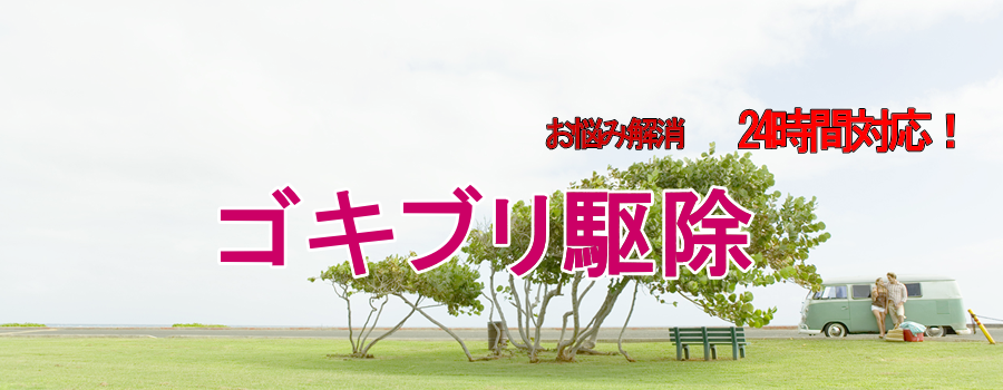 ゴキブリ駆除　横浜大興