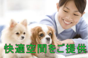 ゴミの無い快適空間